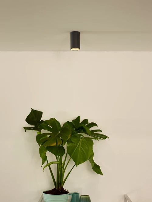 Lucide DELTO - Plafondspot - Ø 5,5 cm - LED Dim to warm - GU10 - 1x5W 2200K/3000K - Grijs - sfeer 1